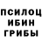 Псилоцибиновые грибы GOLDEN TEACHER ib1k