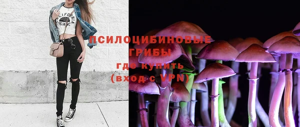 тгк Алзамай