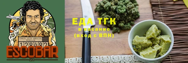 индика Надым