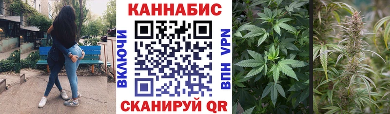 Каннабис SATIVA & INDICA  купить закладку  Павловская 